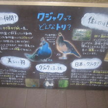 こんな丁寧な案内も、好感が持てますね( ´∀｀ )。