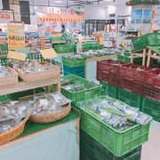野菜が美味しい「北海道ロコファームビレッジ」三井アウトレット