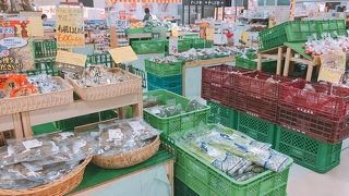 野菜が美味しい「北海道ロコファームビレッジ」三井アウトレット