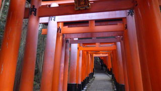 上の方にまで上がると人も減ってきてゆっくりと回れました