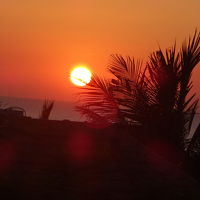 お部屋から朝日が見えました