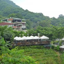 猫空間Cafeから見る風景