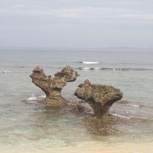 ｢不思議な形をした琉球石灰岩｣がふたつ！！