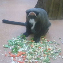 私の訪問時は、皆さんお食事中でした。