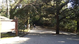 大きな自然豊か公園の遊歩道