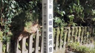 意外に地味です