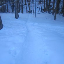 冬でも細く踏み固められている道ですが、滑りやすいので注意。
