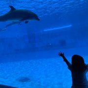 大きな水族館