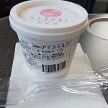 ロマンスカー車内で購入したアイスクリームです