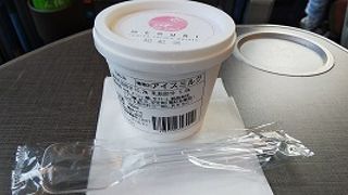 アイスクリームを買いました