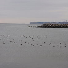 犬岩付近の海上風景