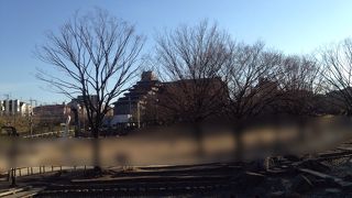 夏場には水が張られる