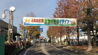 いろいろなイベントがあります。