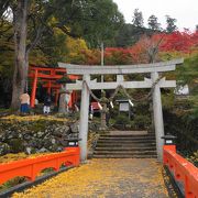 千本鳥居が美しい