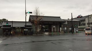 雨の東寺