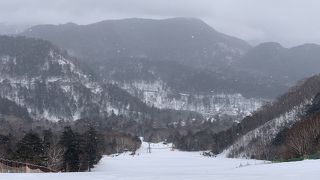 2月上旬、サラサラのパウダースノーで滑りやすかったです！日祝は8：30から営業しています！