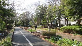 小名木川から入りました