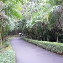 大渓慈湖雕塑紀念公園 