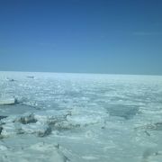 流氷が見られる確率の高いエリア