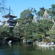 禅庭園が素晴らしい