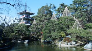 禅庭園が素晴らしい