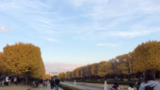 紅葉の記念公園