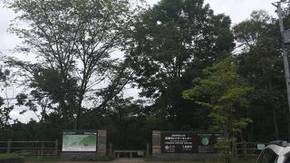 木道の入り口にあります