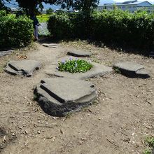 東塔跡の礎石