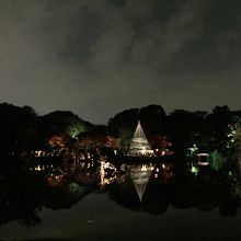六義園夜の景色