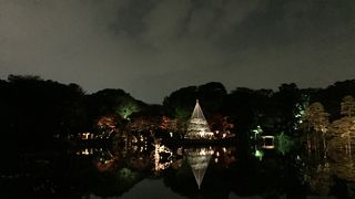 紅葉のライトアップ訪問