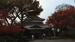 少しだけ紅葉の時期