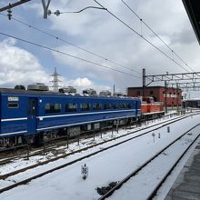 停車中の「あっぱれ日光 SL大樹珍道中」号