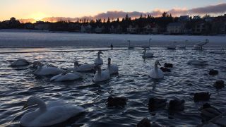 冬はサッカー練習場？