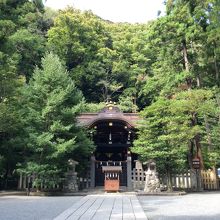 神社雰囲気