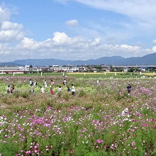 展望所からのパノラマ