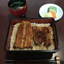 肝吸い付きのうな重です。