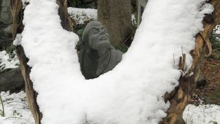 雪景色が見られました