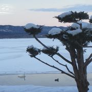 白鳥訪れる湖面間際の玉砂利底の温泉（屈斜路湖ホテル）