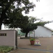 とても広く施設が整っている運動公園では と思います