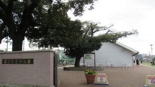 とても広く施設が整っている運動公園では と思います