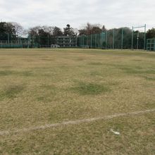 広い多目的の芝生広場