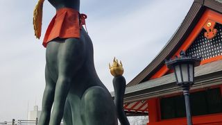 至る所にキツネ