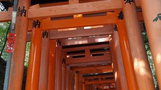 無数の鳥居