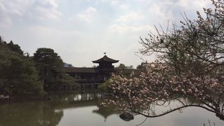 お庭もおすすめです