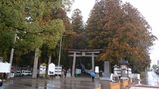 だいぶ階段をのぼります