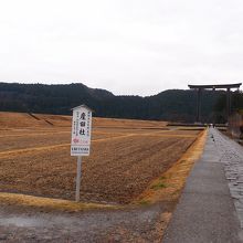 日本一の大きさの鳥居とのことです