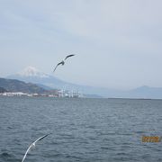 富士山の絶景とカモメの見送りが楽しめます。