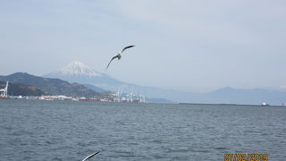 富士山の絶景とカモメの見送りが楽しめます。