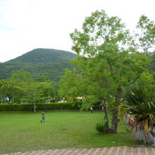 虎爺温泉会館　庭