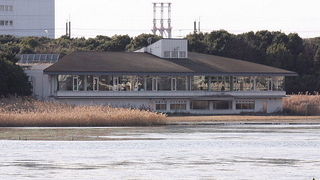 窓越しに谷津干潟の野鳥が見られます。